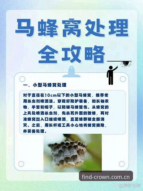 皇冠现金服务体验详解：安全入口与使用全指南